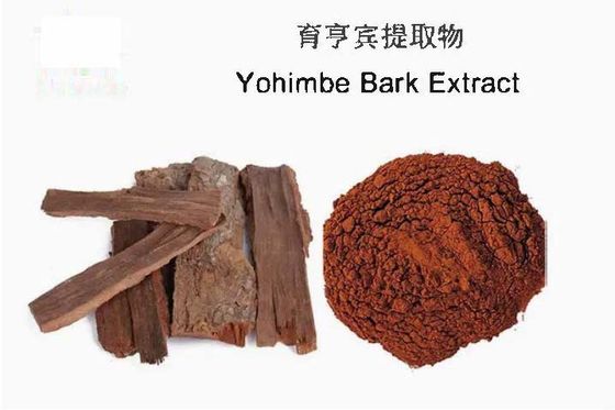 Фармацевтический пищевой Yohimbe Bark Powder Extract CAS NO 65-19-0 Здравоохранение