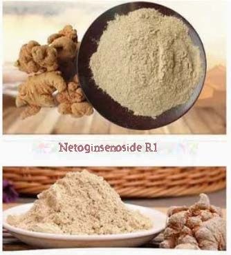 Продукт медицинского обслуживания Медикаменты Netoginsenoside R1 CAS NO 80418-24-2 HPLC Ультрафиолетовый класс