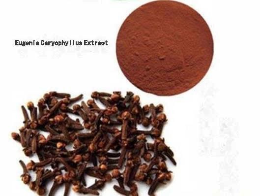 Экстракт Eugenia Caryophyllus CAS NO 84961-50-2 Продукты питания для здоровья