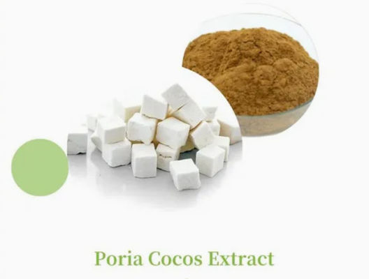 Растительный экстракт Herbway Powder Poria Cocos Extract CAS NO 65637-98-1 50% Полисахарид