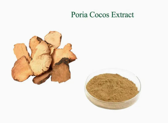Растительный экстракт Herbway Powder Poria Cocos Extract CAS NO 65637-98-1 50% Полисахарид