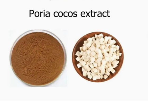 Растительный экстракт Herbway Powder Poria Cocos Extract CAS NO 65637-98-1 50% Полисахарид