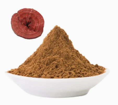 Растительная медицина Ganoderma Lucidum Споры порошок CAS NO 223751-82-4 натуральный органический
