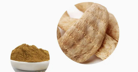 Фармацевтика Здравоохранение Экстракты Гастродия Элата CAS NO 62499-27-8 Gastrodia Elata BL