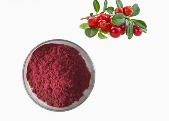 Свежие натуральные чистые экстракты клюквы CAS NO 84929-27-1 Порошок 25% антоцианидина