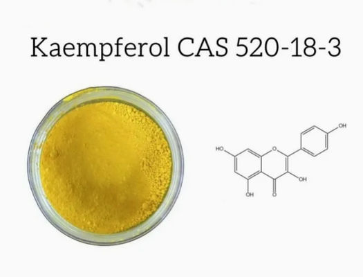 Медицинская добавка Каемпферол в порошке Экстракт галанги CAS 520-18-3 Чистая натура