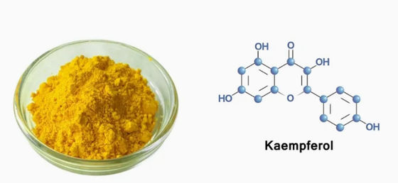 Медицинская добавка Каемпферол в порошке Экстракт галанги CAS No 520-18-3 Pure Natura