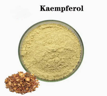 Медицинская добавка Каемпферол в порошке Экстракт галанги CAS No 520-18-3 Pure Natura