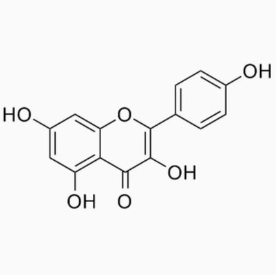 Медицинская добавка Каемпферол в порошке Экстракт галанги CAS No 520-18-3 Pure Natura
