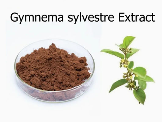 Экстракт растения Gymnema Sylvestre, экстракт CAS № 90045-47-9, порошок из корня или травяного экстракта