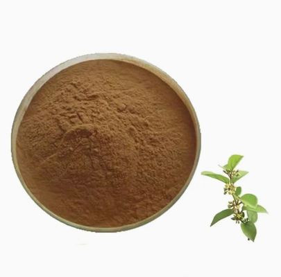 Экстракт растения Gymnema Sylvestre, экстракт CAS № 90045-47-9, порошок из корня или травяного экстракта