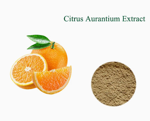 Синефрин экстракт померанца (Citrus Aurantium) Горький апельсин экстракт CAS № 13241-33-3 Порошок из кожуры